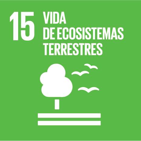 ODS 15 Vida de ecosistemas terrestres