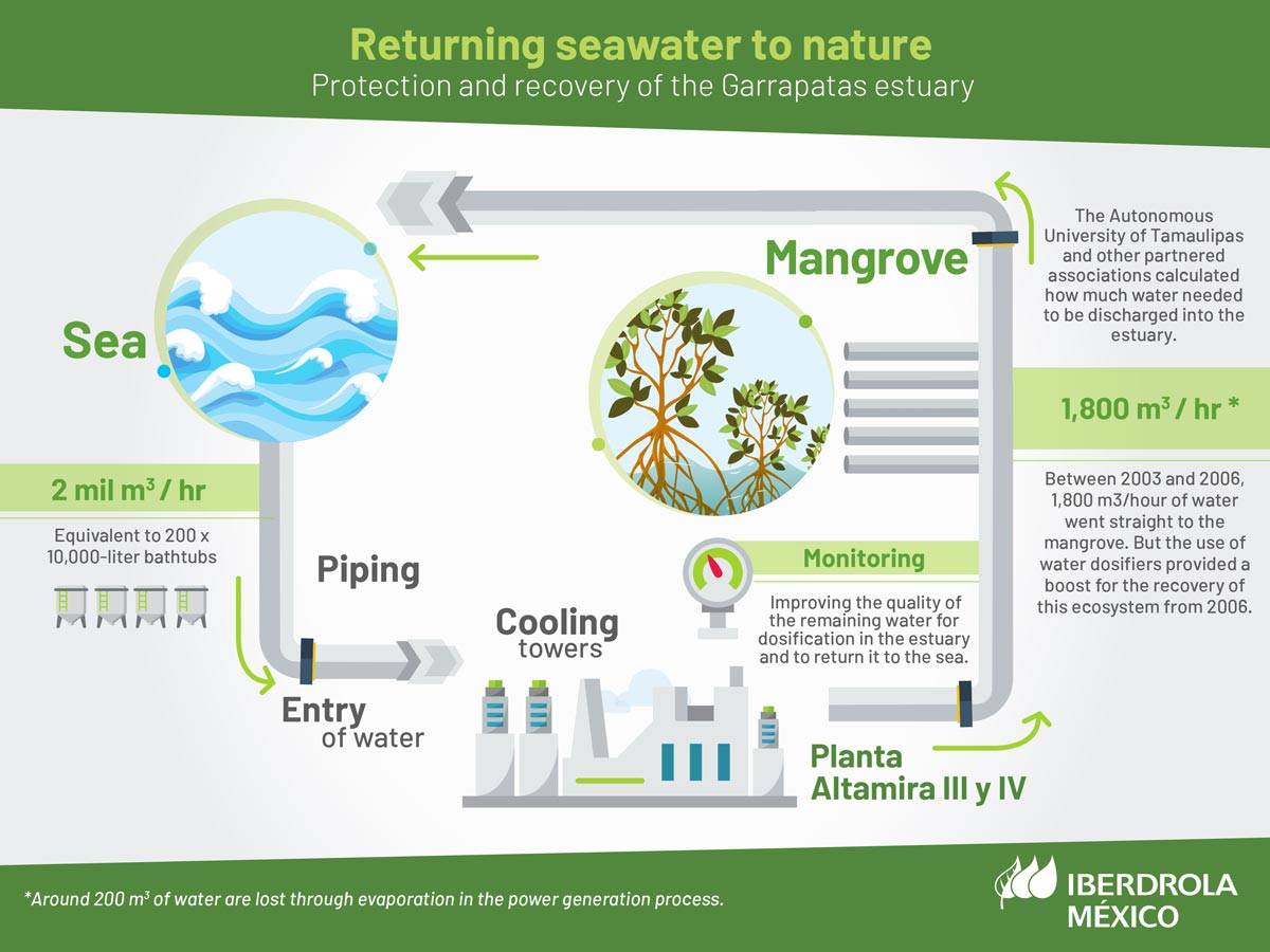 Infographic about the proccess of returning seawater to nature