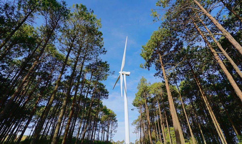 ¿Por qué el viento es un gran aliado para generar electricidad?