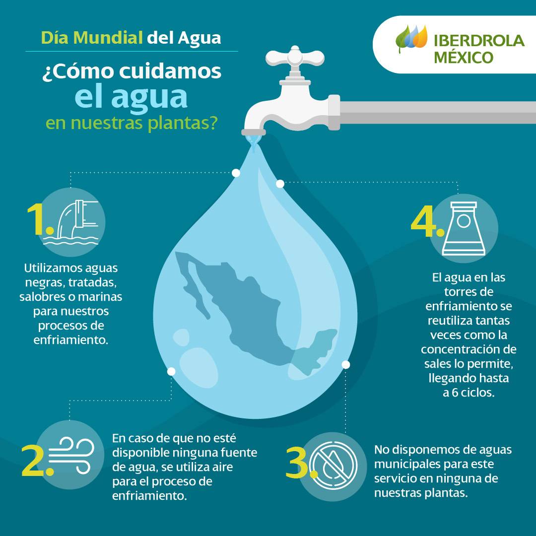 Infografía día mundial del Agua, cómo cuidamos el agua en nuestras plantas