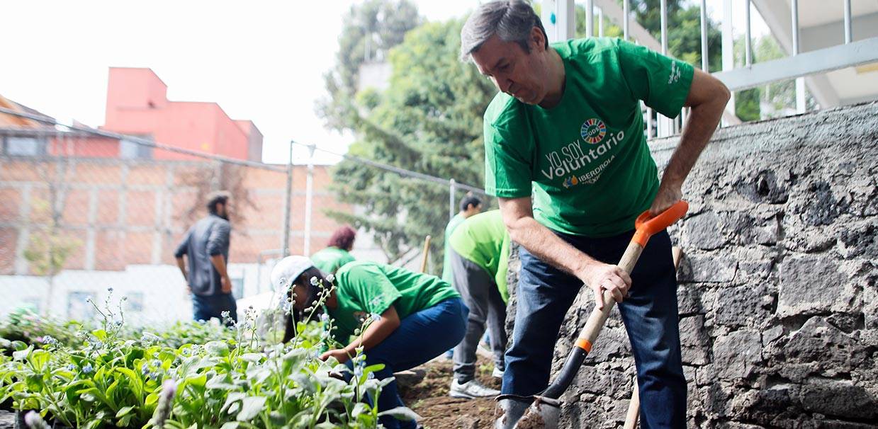 Voluntarios de Grupo Iberdrola trabajando