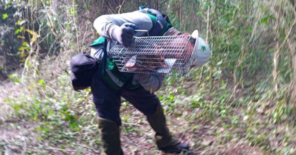 Iberdrola México, comprometida con el cuidado del ambiente en Tamazunchale