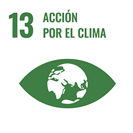 Ícono ODS 13 Acción por el clima