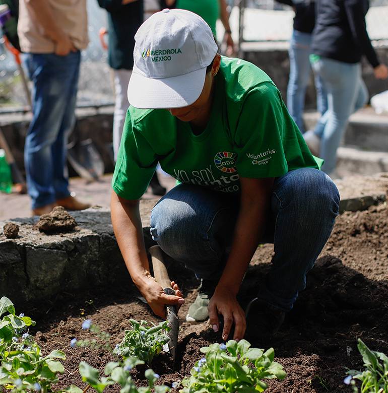 Fotografía de voluntaria Iberdrola sembrando plantas