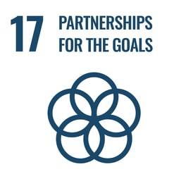 GOAL 17: Partnerships to achieve the Goal