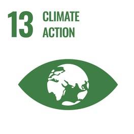 GOAL 13: Climate Action