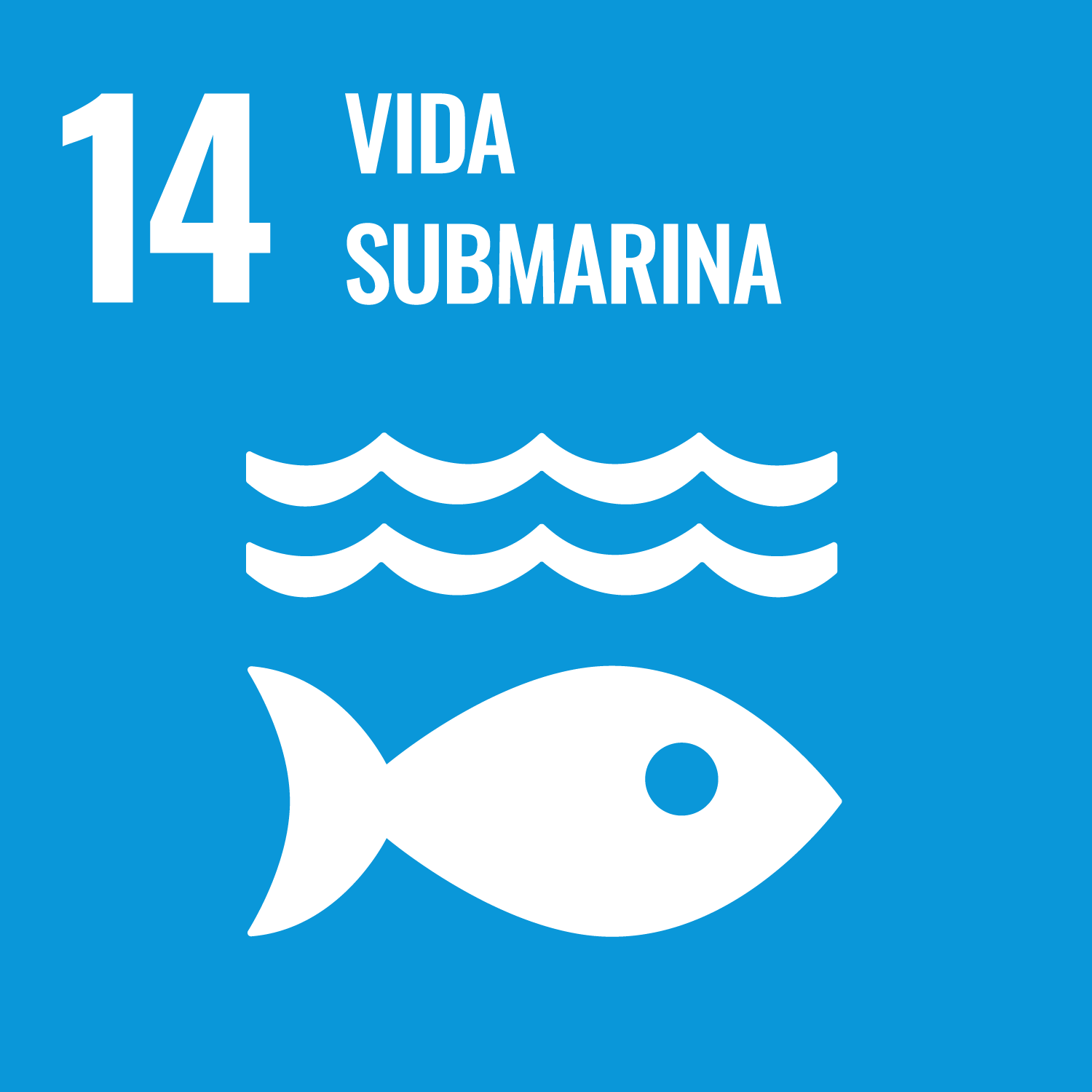 Ícono ODS 14: Vida submarina 