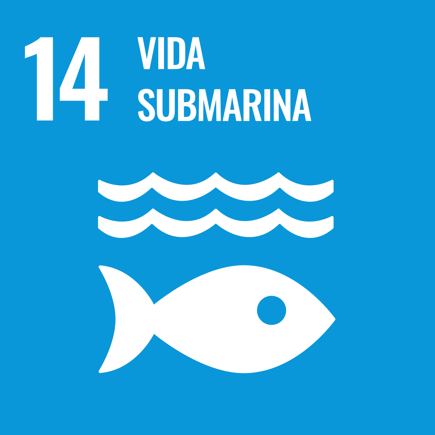  14: Vida submarina 