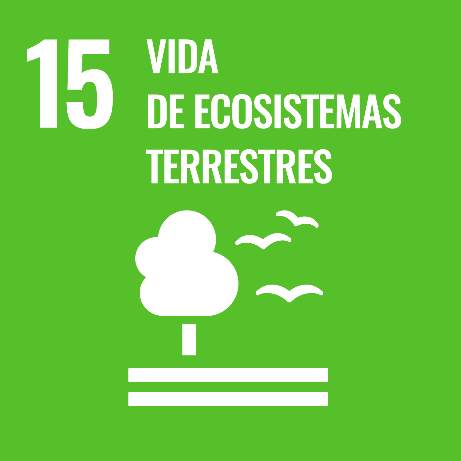 Ícono ODS 15: Vida de ecosistemas terrestres 