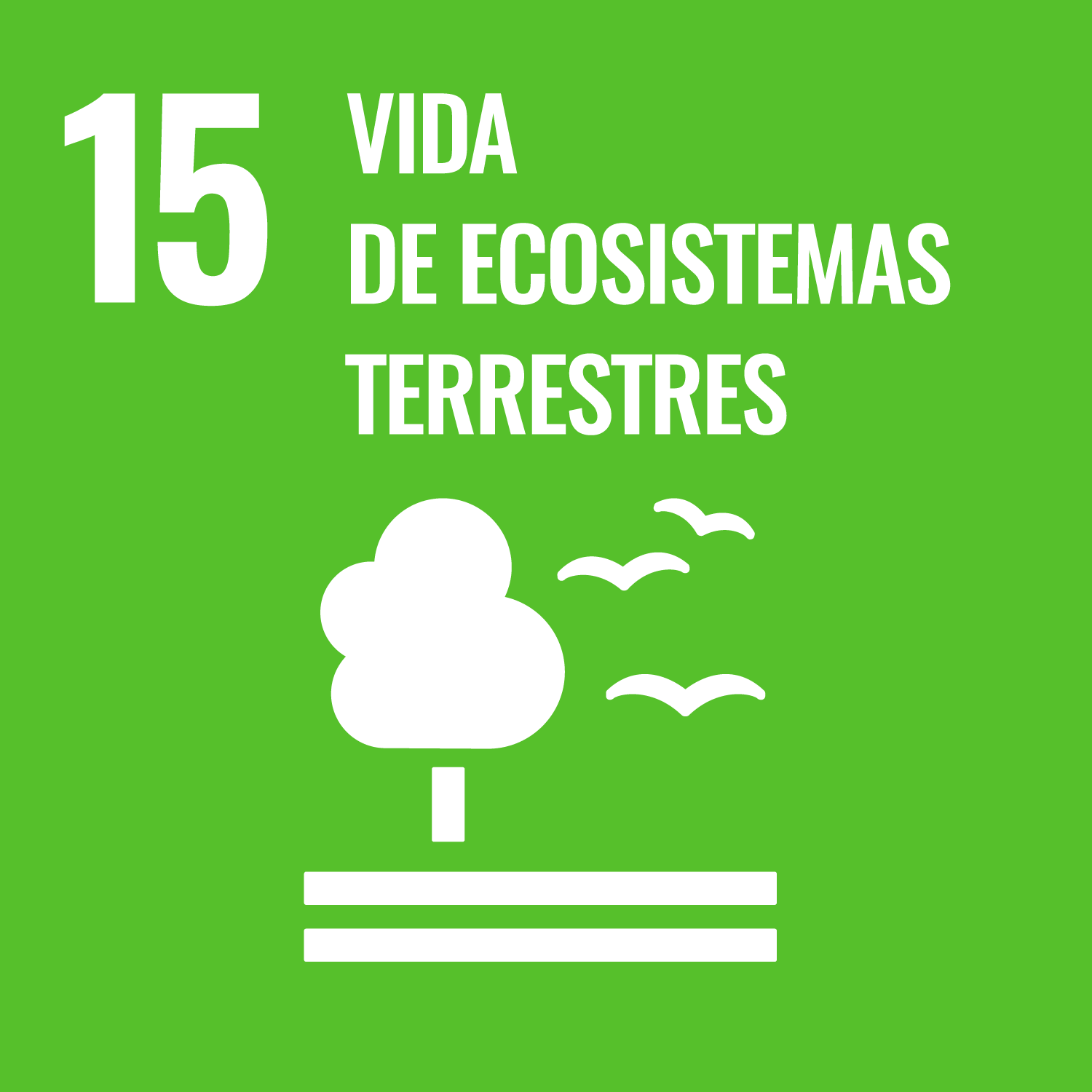 15: Vida de ecosistemas terrestres 