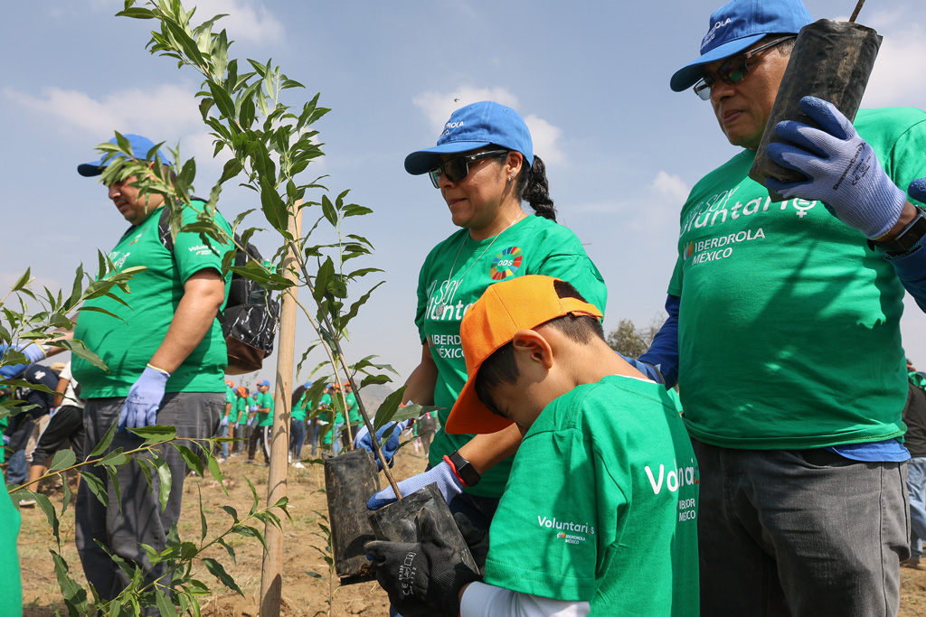 Familia de Gente Iberdrola y Voluntarios sostienen árboles para plantar durante las jornadas de reforestación que realiza Iberdrola México