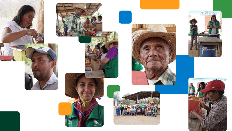 Collage de talleres y actividades.