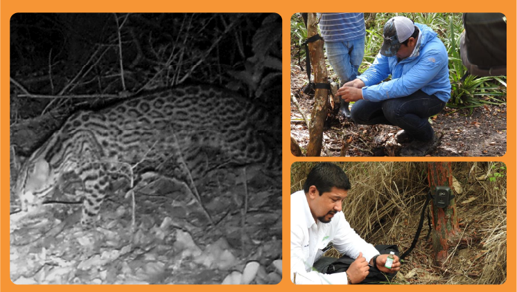 Población y estudiantes involucrados