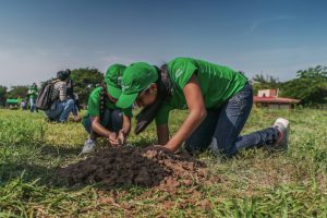 boletin planta 8000 arboles boletin planta 8000 arboles