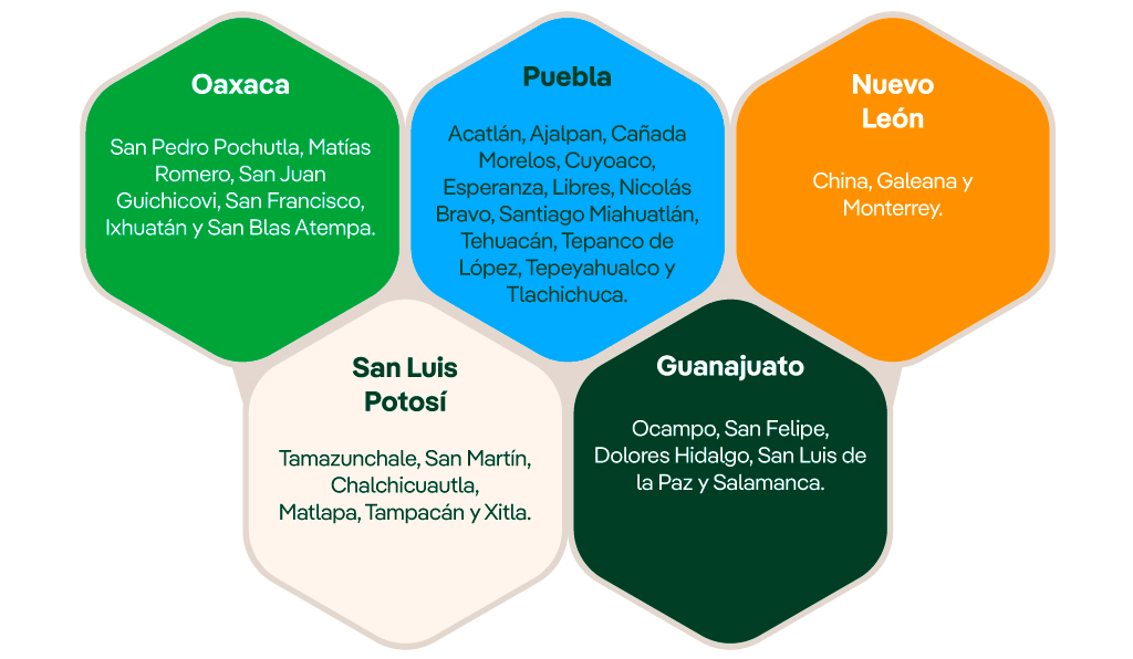 Puebla, Acatlán, Ajalpan, Cañada Morelos, Cuyoaco, Esperanza, Libres, Nicolás Bravo, Santiago Miahuatlán, Tehuacán, Tepanco de López, Tepeyahualco y Tlalchichuca. Guanajuato: Ocampo, San Felipe, Dolores Hidalgo, San Luis de la Paz y Salamanca